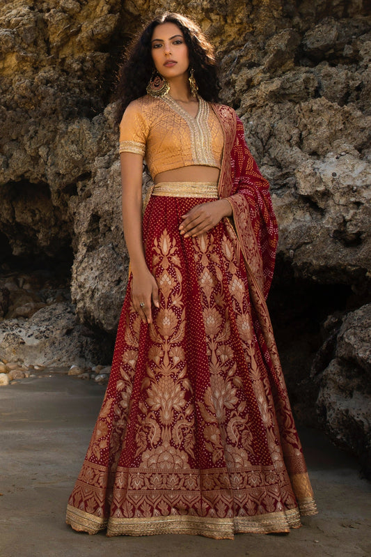 Maroon Lehnga Choli